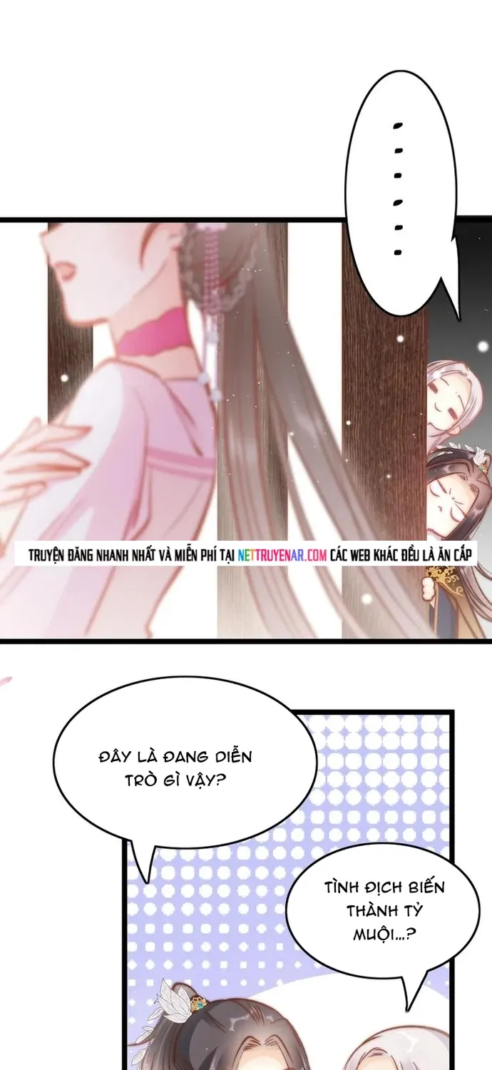 Chapter 41
