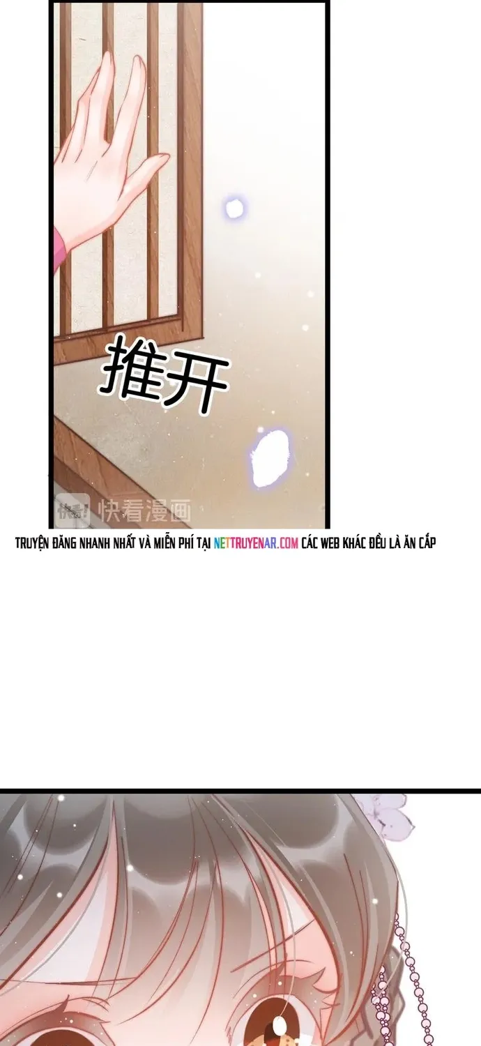 Chapter 49