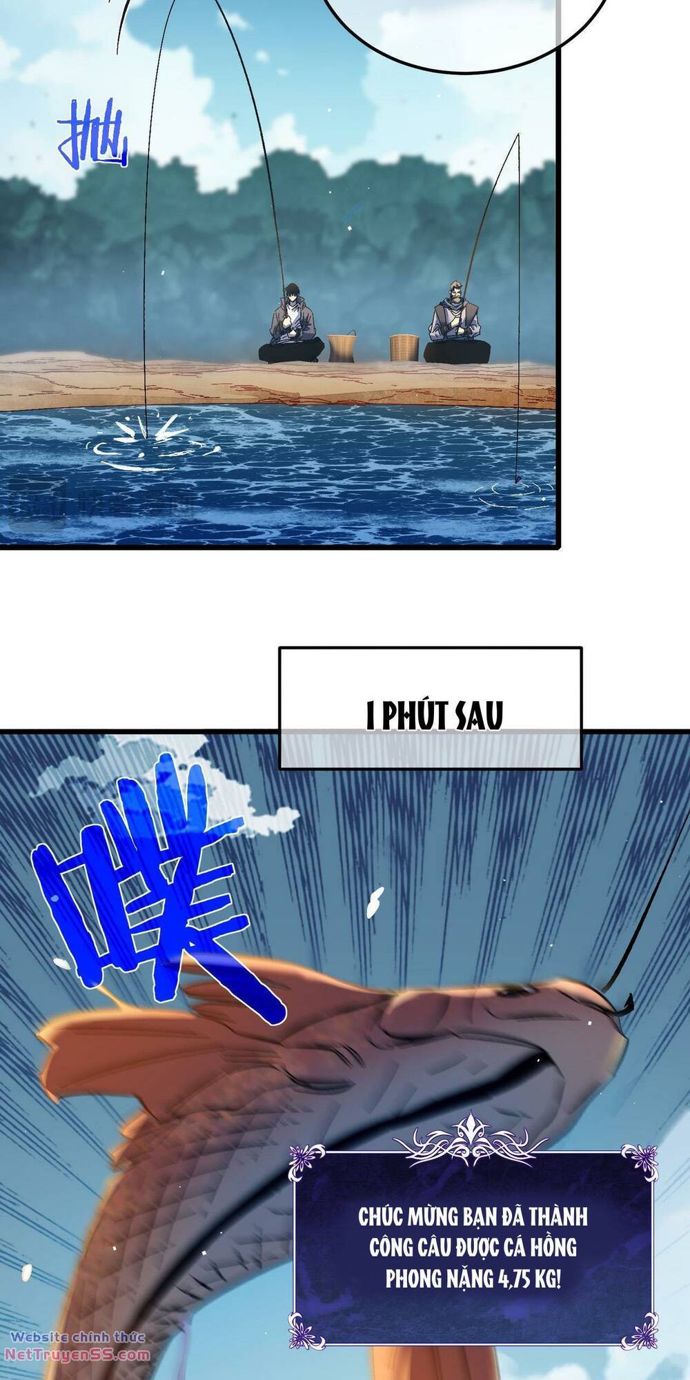Chapter 11