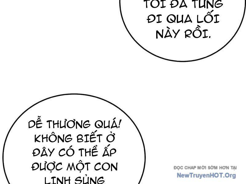 Chapter 102