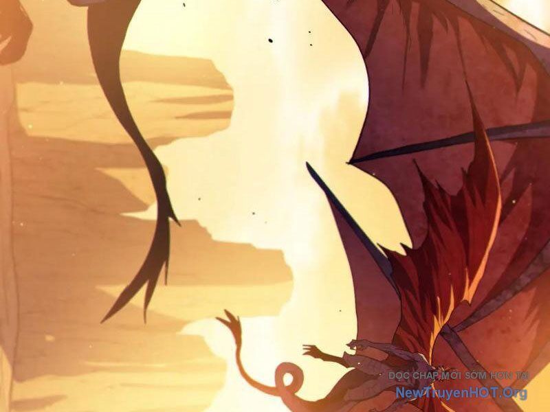 Chapter 104