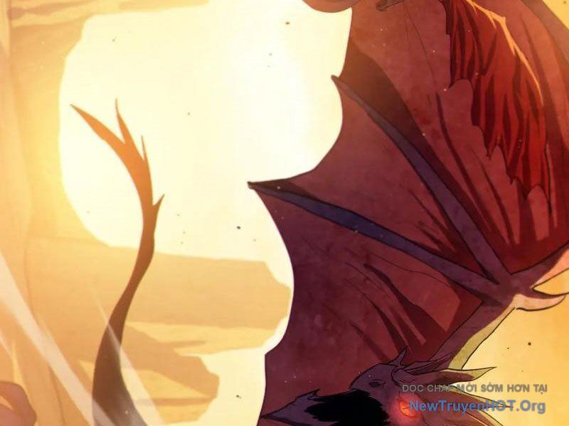 Chapter 104
