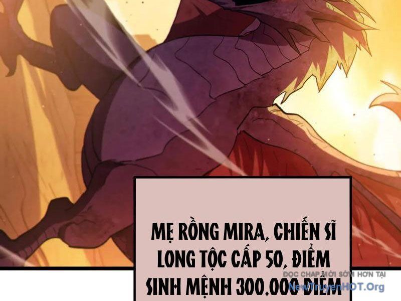 Chapter 104