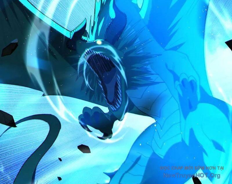 Chapter 105