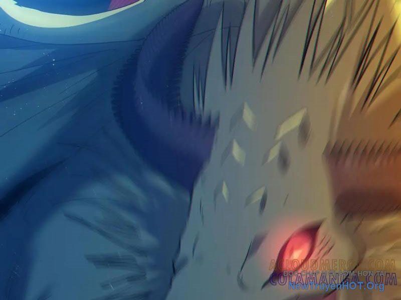Chapter 106