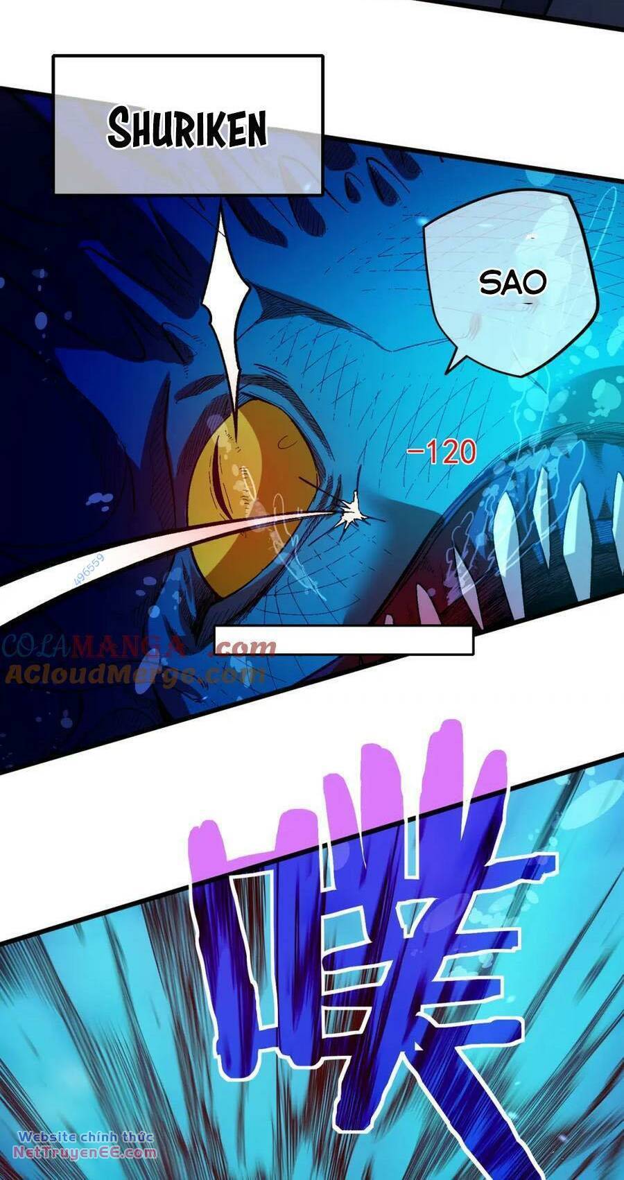 Chapter 12