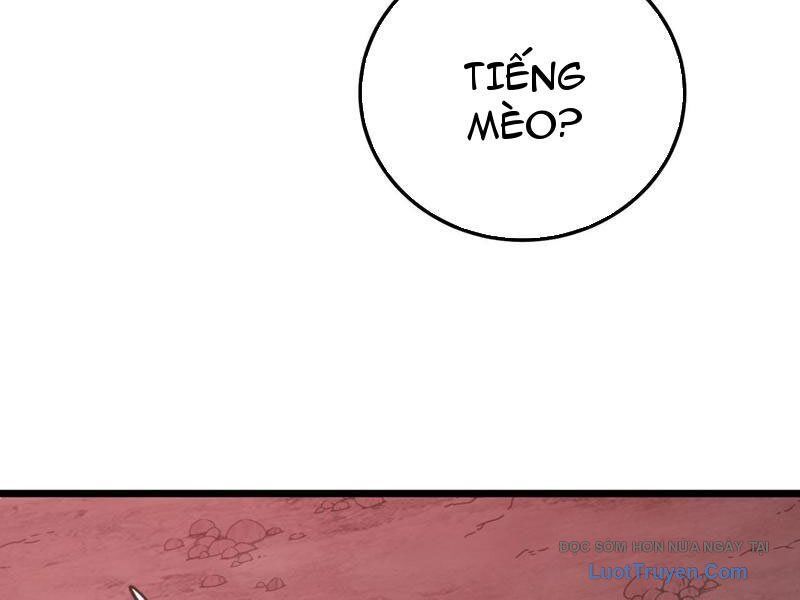 Chapter 116