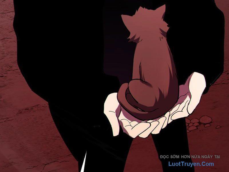 Chapter 116