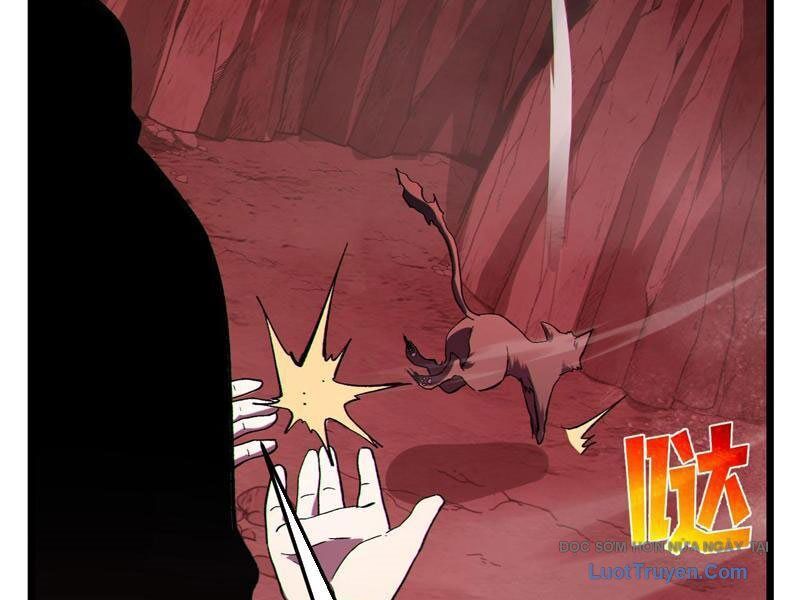 Chapter 116