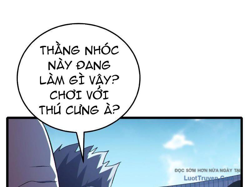 Chapter 116