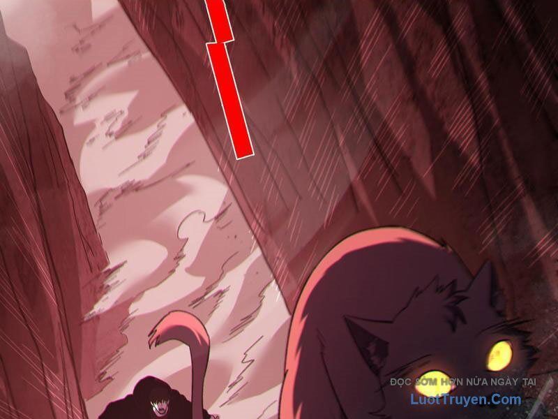 Chapter 116