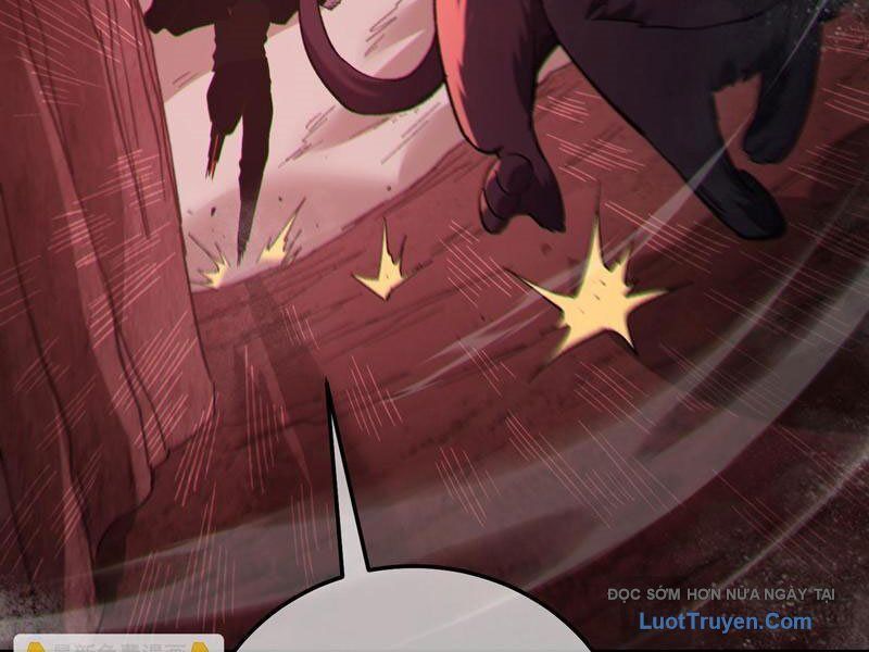 Chapter 116