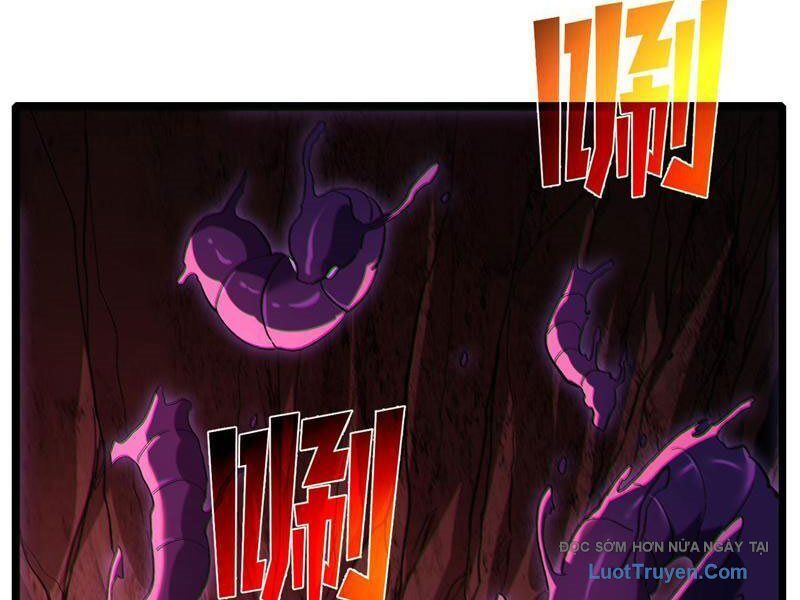 Chapter 116