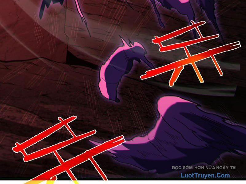 Chapter 116