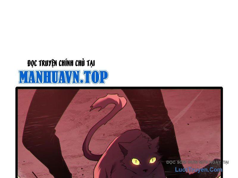 Chapter 116