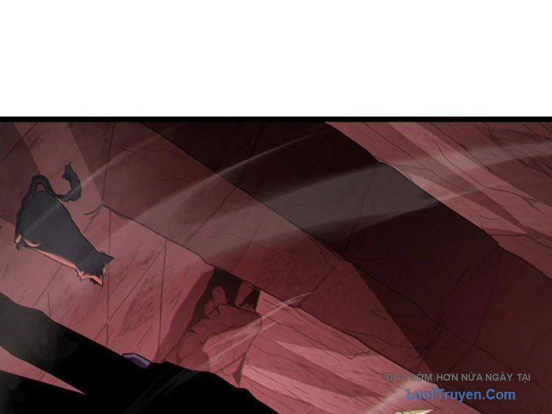 Chapter 116