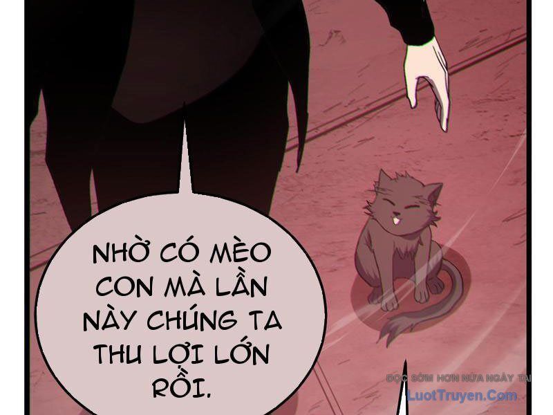 Chapter 116