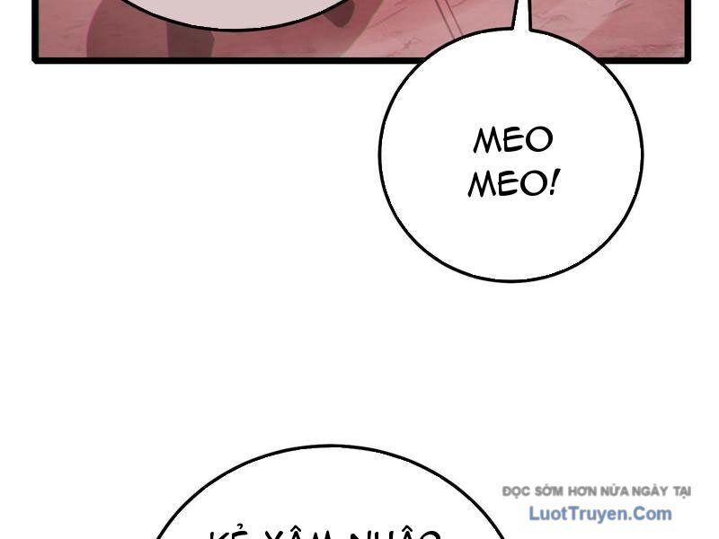 Chapter 116