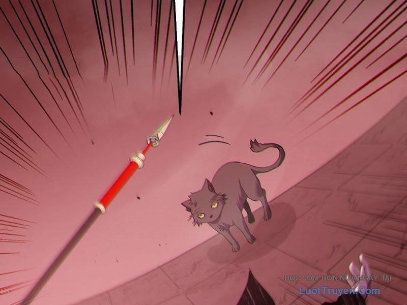 Chapter 116