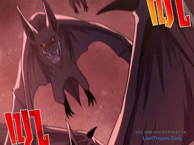 Chapter 116