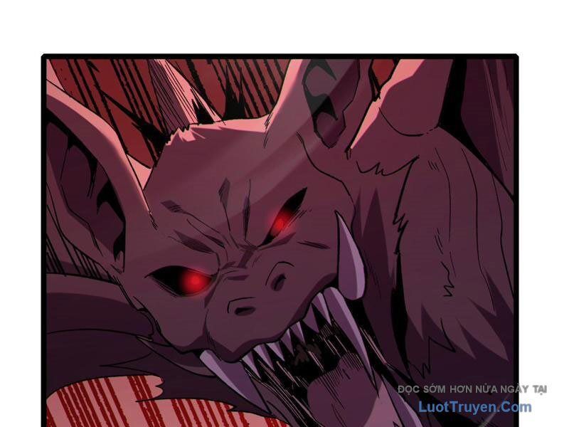 Chapter 116