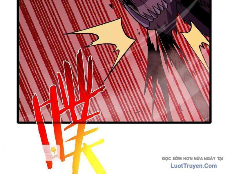 Chapter 116