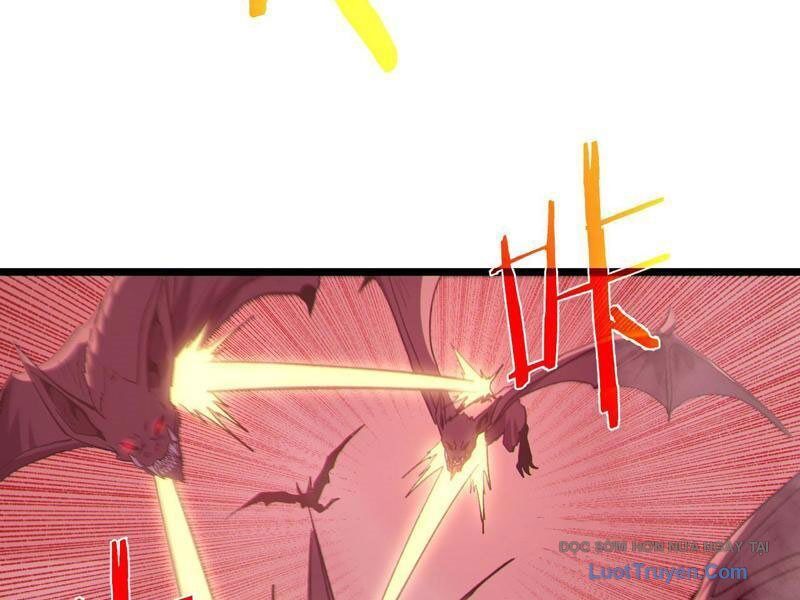 Chapter 116