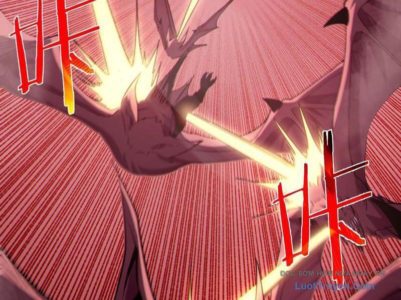 Chapter 116