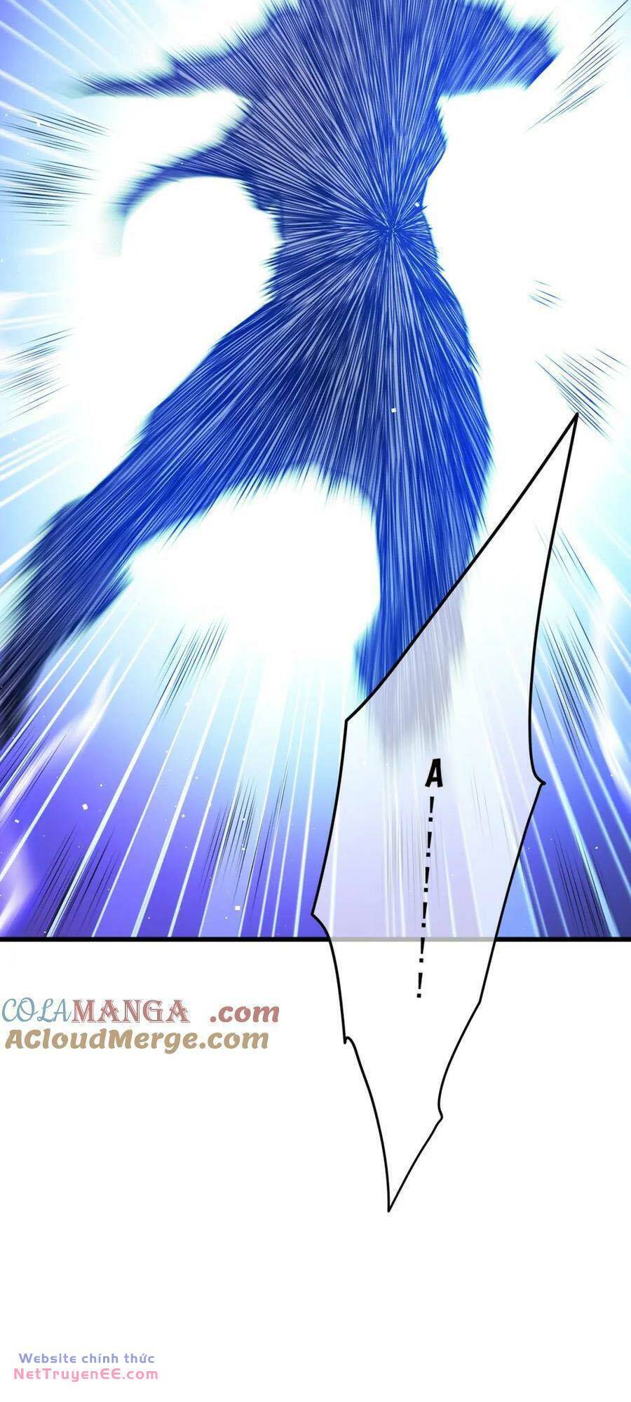 Chapter 13