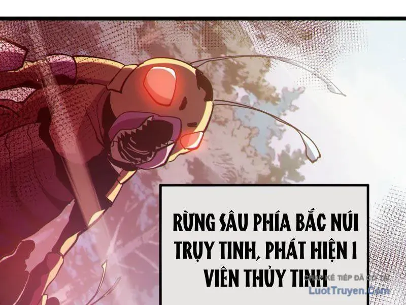 Chapter 133
