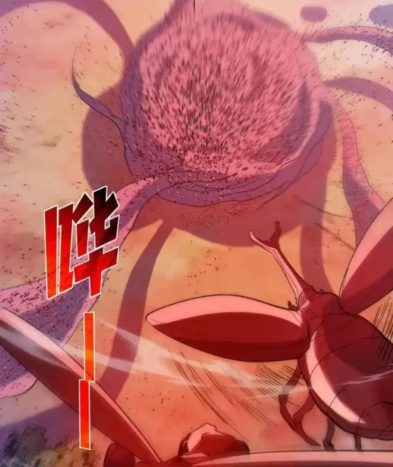 Chapter 135
