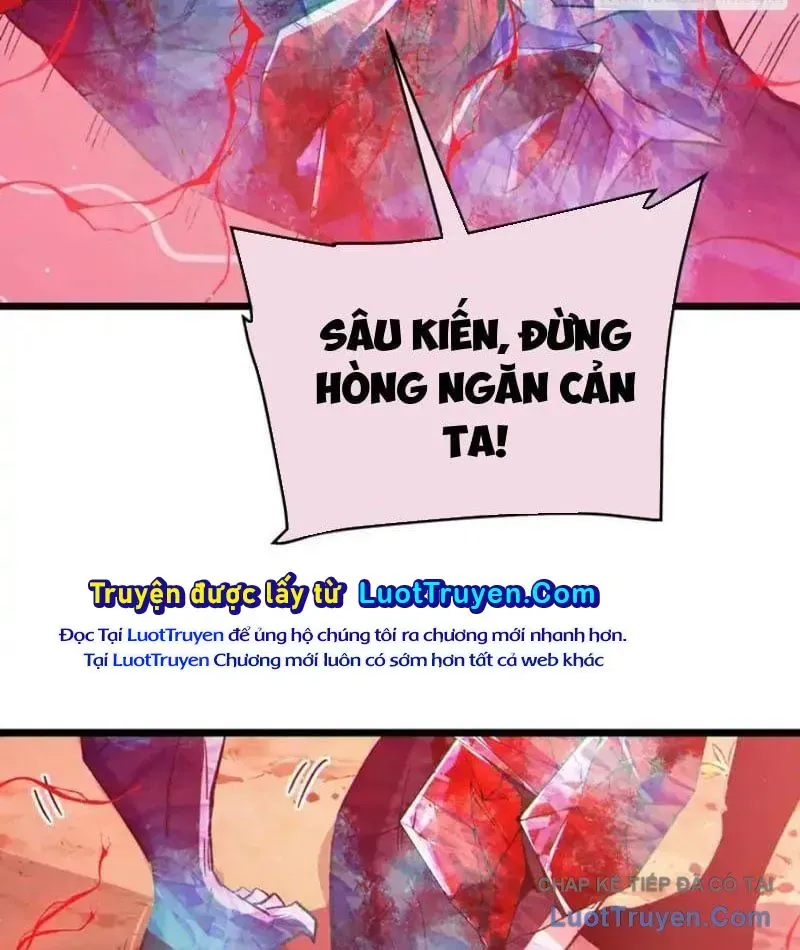 Chapter 135