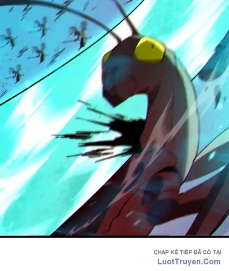 Chapter 135