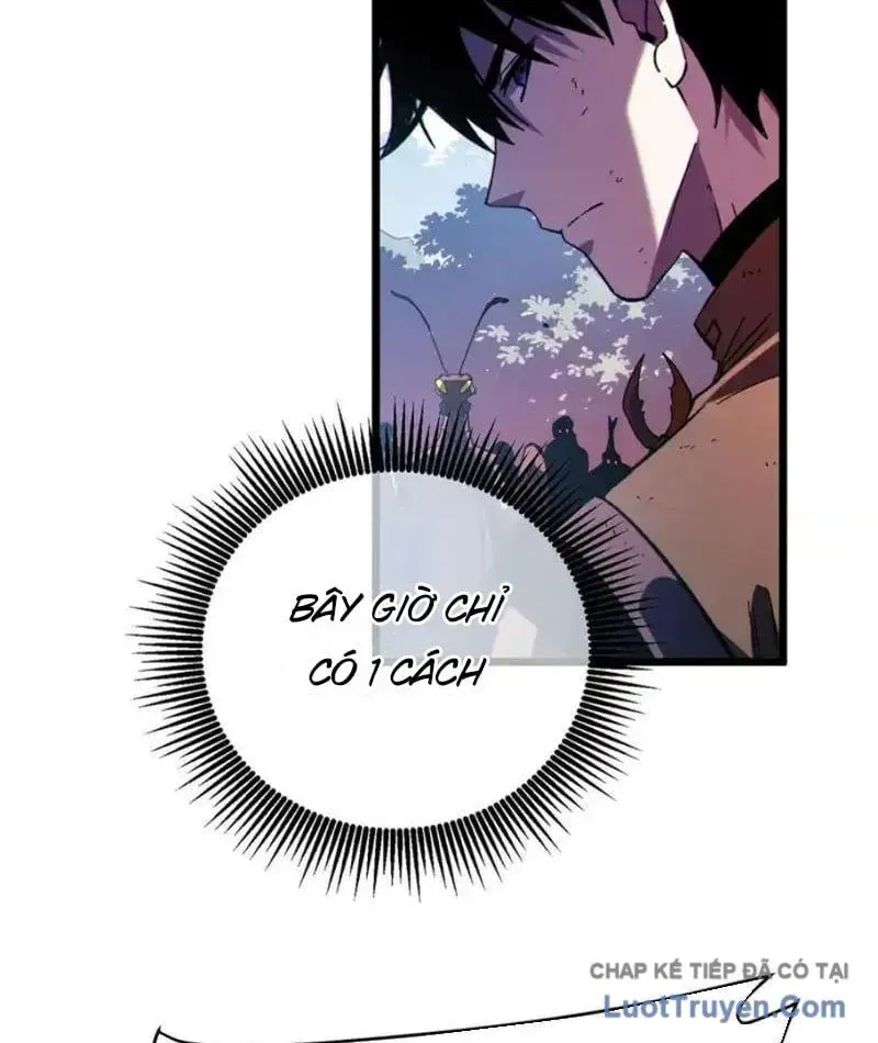 Chapter 135