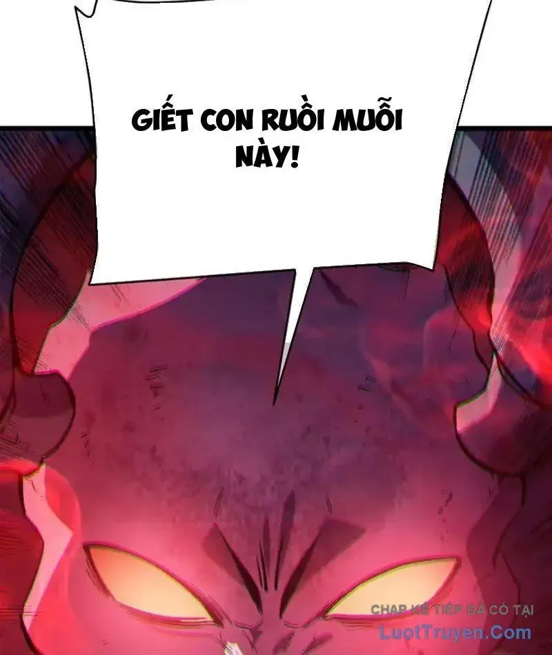 Chapter 135
