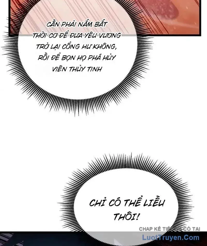 Chapter 135
