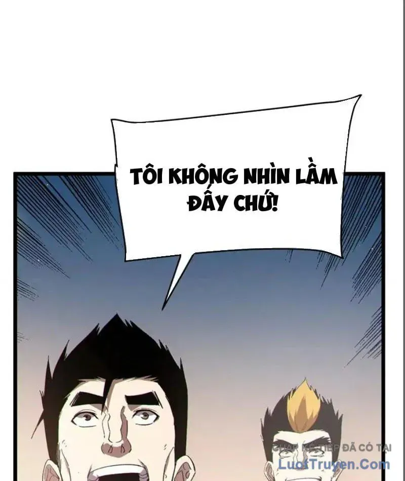 Chapter 137