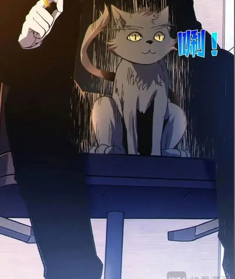 Chapter 137