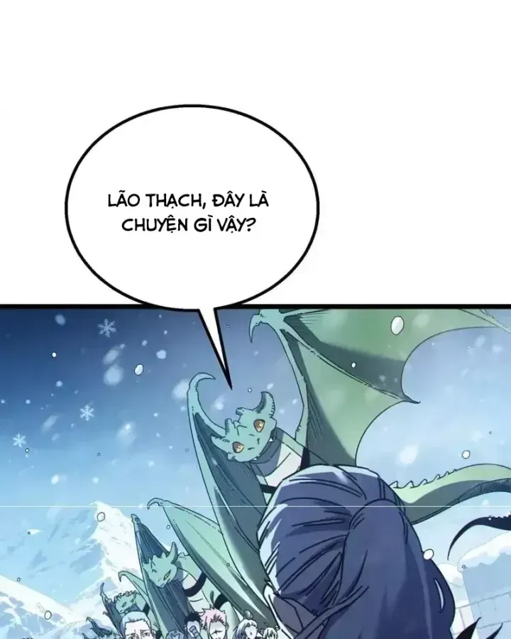 Chapter 146