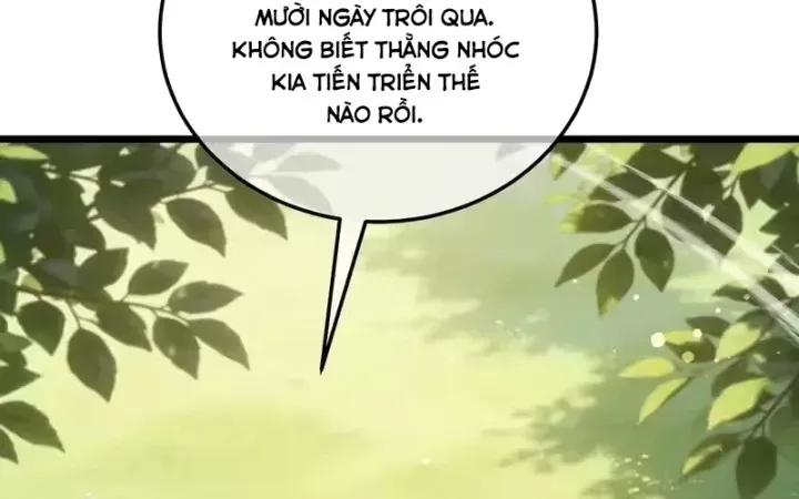 Chapter 153