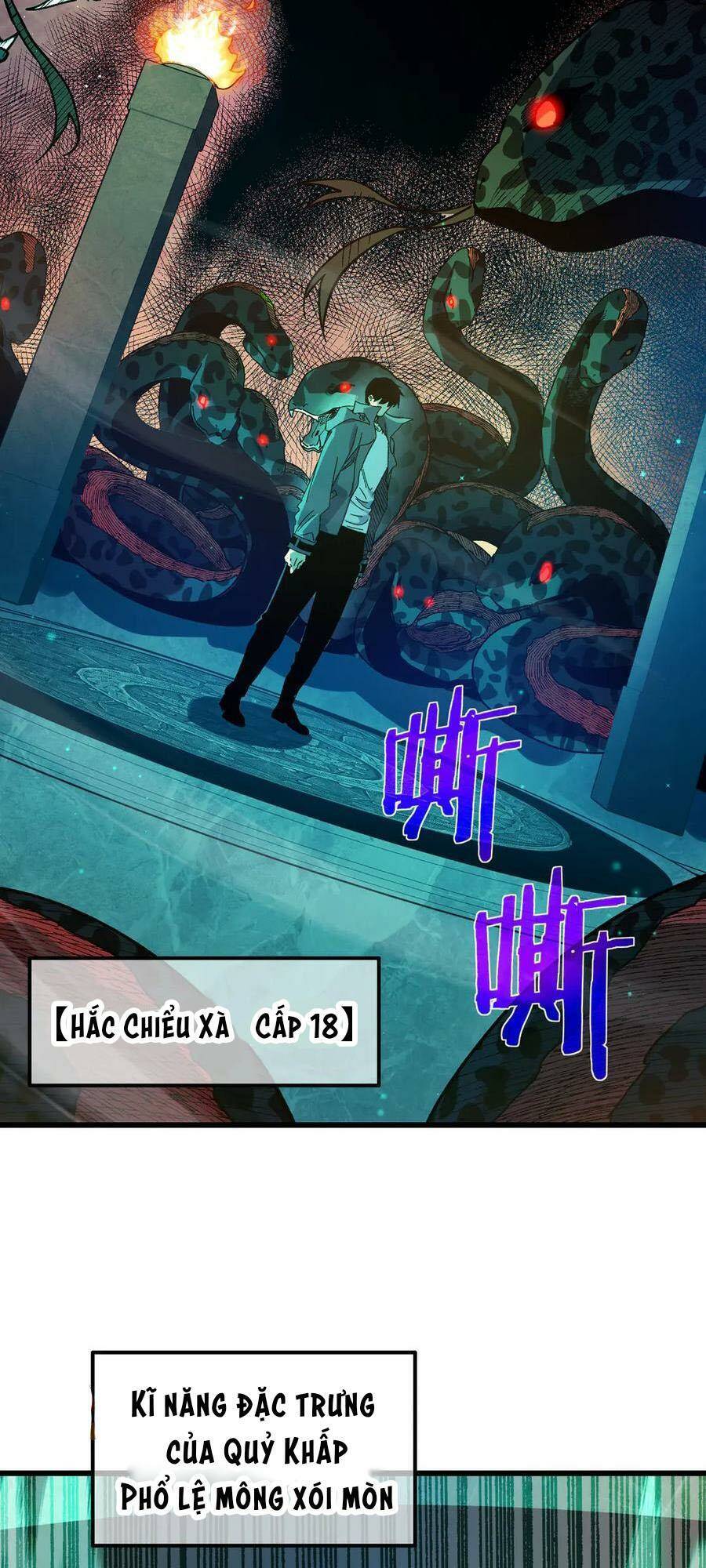 Chapter 17