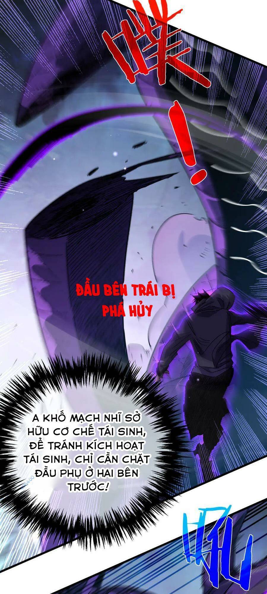 Chapter 17