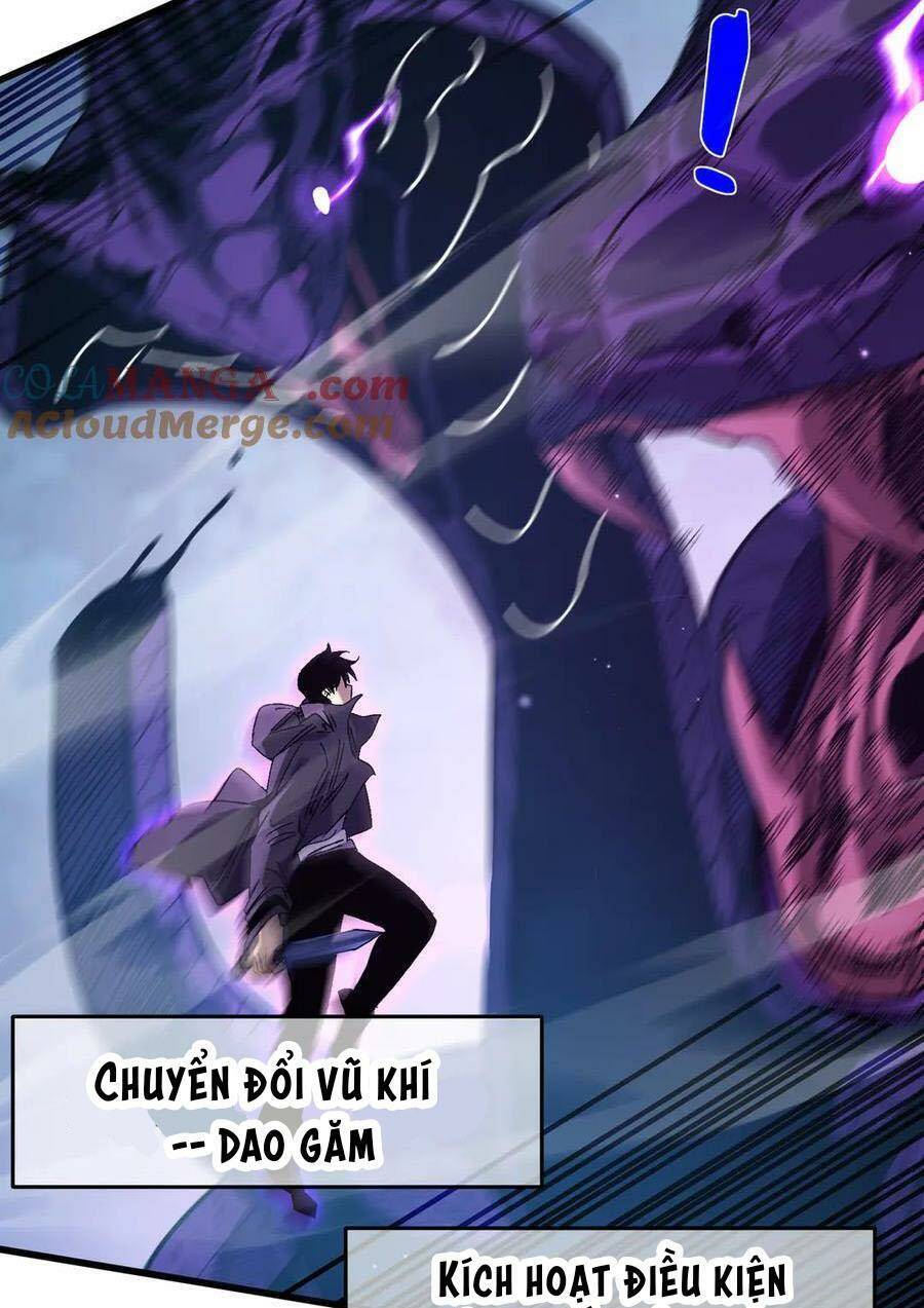 Chapter 17