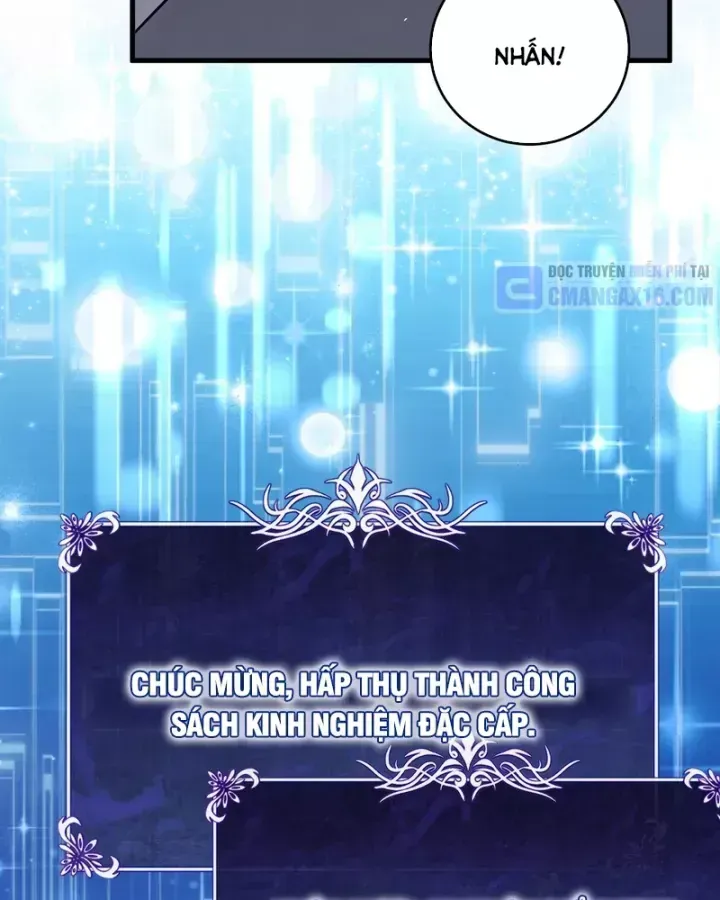 Chapter 162