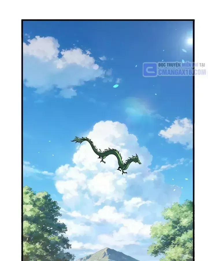 Chapter 162
