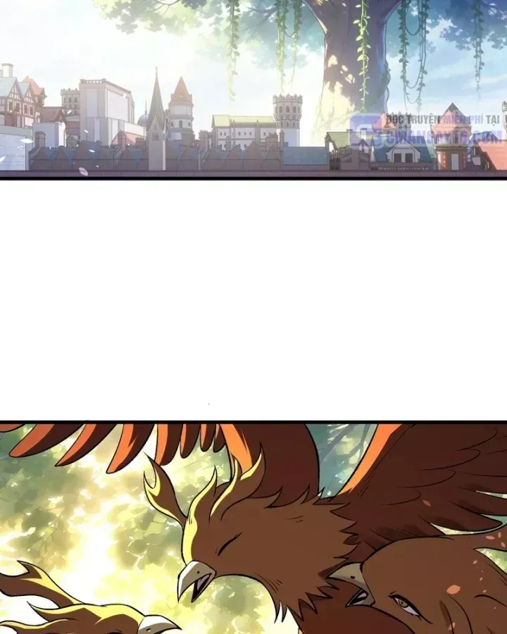 Chapter 162