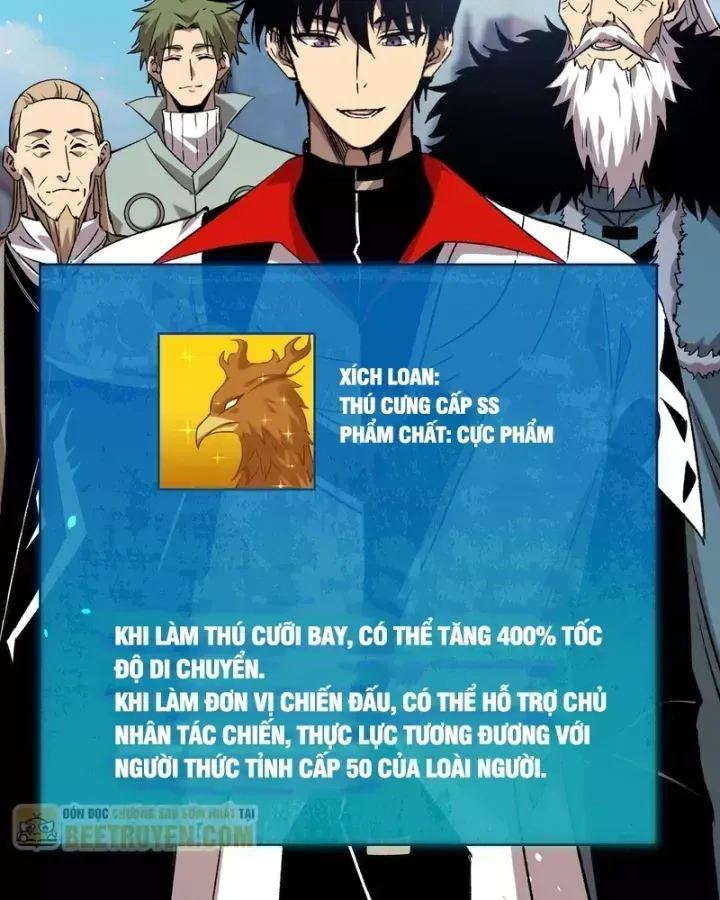 Chapter 162