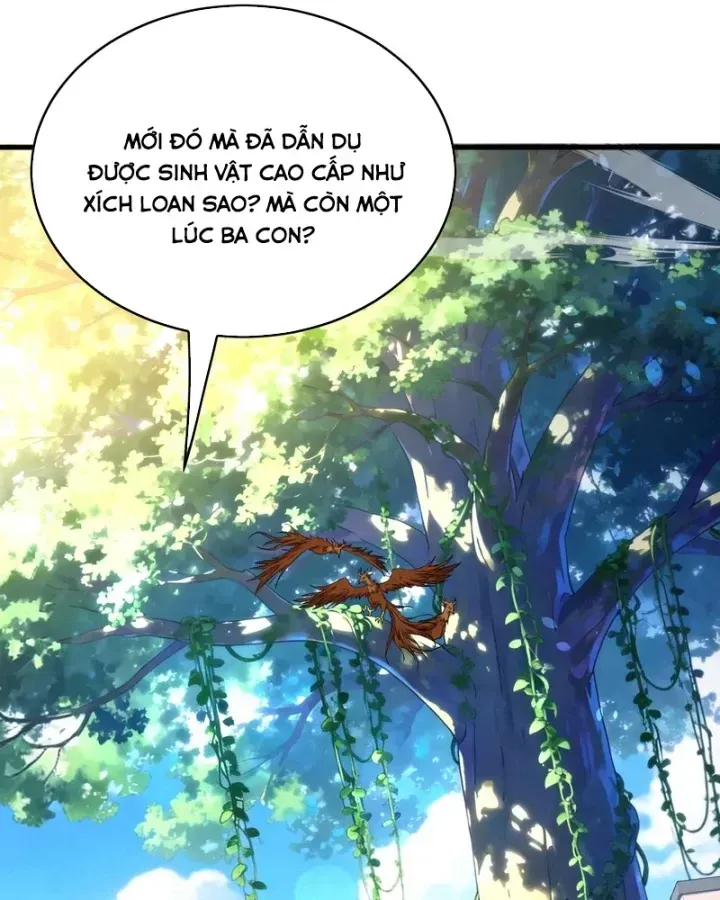 Chapter 162
