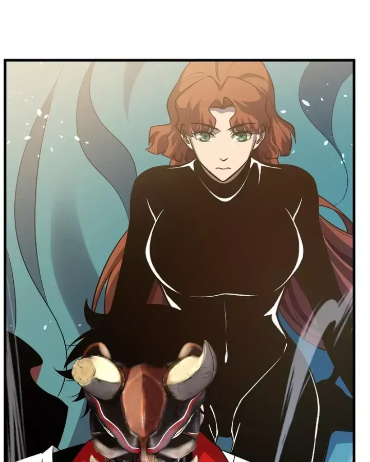 Chapter 163