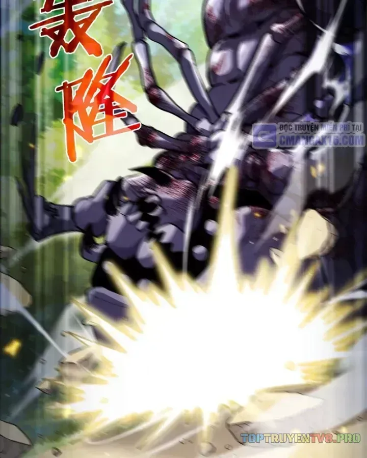 Chapter 163